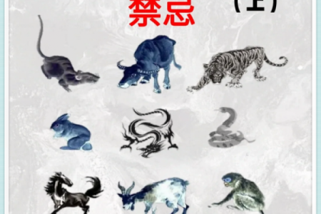 鸡年土命的人适合什么颜色？探寻五行之美与生肖魅力