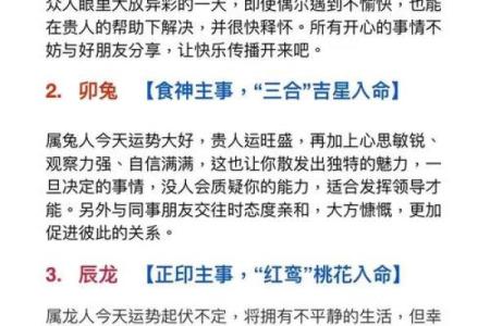 探索命理之道：乙亥与丁亥的命运之交