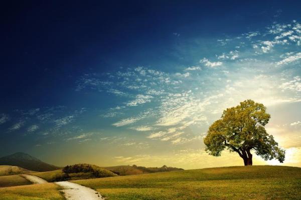 2014年属马:辛苦耕耘,收获希望与幸福的命运之路 2014年属马:辛苦耕耘,收获希望与幸福的命运之路