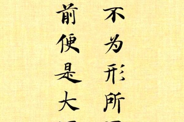 以命换命：生命的价值与爱之间的抉择