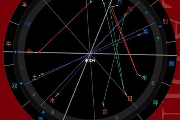 金牛女的命格解析：稳重而又优雅的生活艺术家