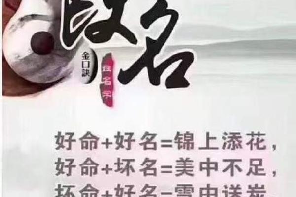 命里缺木命弱的人名字选择与改运之道