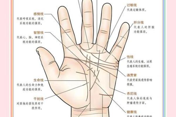 揭秘命运：三种手纹揭示你的不幸命运