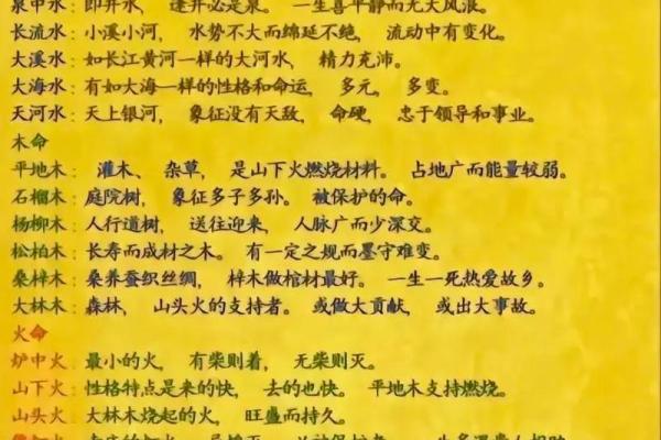 土命与水命：如何制定最赚钱的职业发展策略