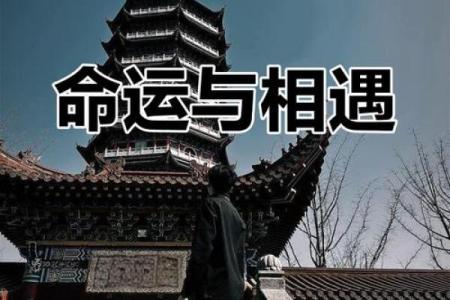 命运的交织：一命换一命的深刻启示