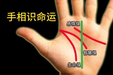 揭秘命运：三种手纹揭示你的不幸命运