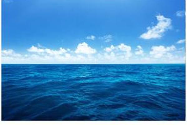 大海水之命:探索与海洋如影随形的人生轨迹 大海水之命:探索与海洋如影随形的人生轨迹