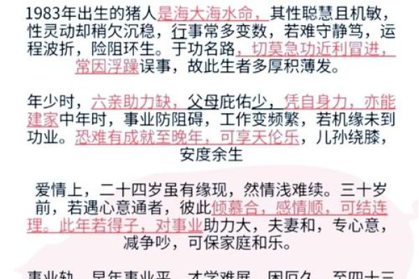 2020年属猪人的命运与运势分析：幸福与挑战并存
