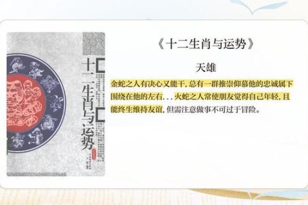 2017年出生的宝宝：属相与命理解析，助你更好养育宝宝！