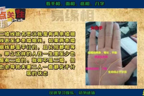 看手相:揭示男命与女命的深刻含义与区别 看手相:揭示男命与女命的深刻含义与区别