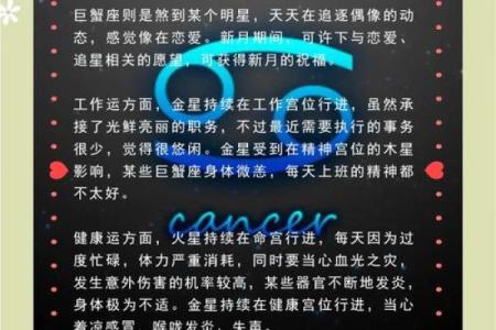 阳历11月出生的人命运解析：魅力与智慧并存的星座之旅