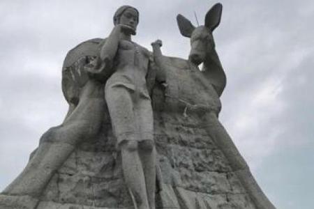 一场意外的旅程：如何差点送了鹿的命！