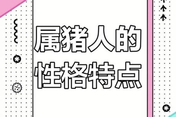 2019年生肖猪的命运与性格分析：解读你的未来