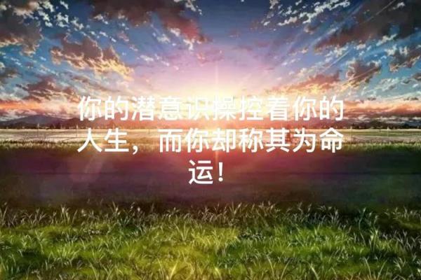 1995年属猪的狗年命运与人生轨迹分析