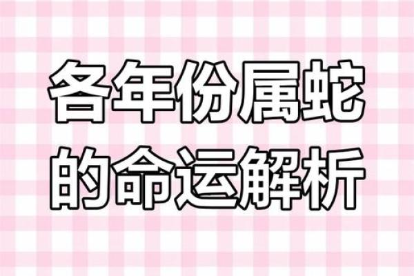 2013蛇命解析：如何弥补生活中的缺失与挑战