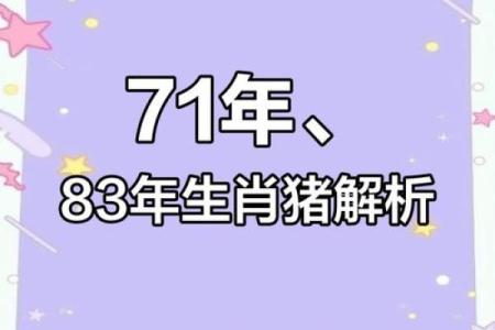 2019年生肖猪的命运与性格分析：解读你的未来