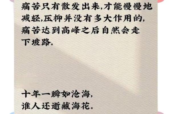 2004猴命：命运的考验与灾难解析