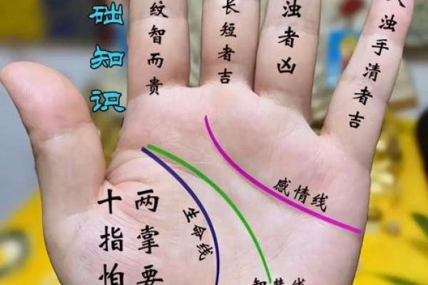 通过掌纹解读命运：你手中的秘密生机