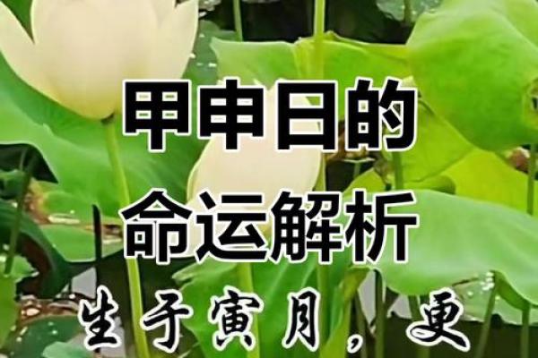 解密甲申日柱:探讨其命理与个性之旅 解密甲申日柱:探讨其命理与个性之旅