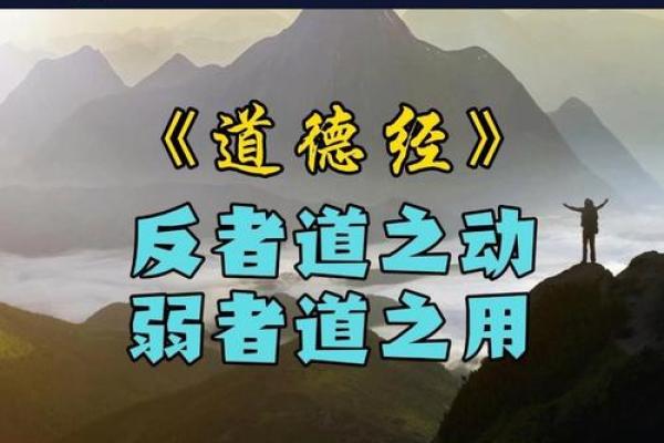 命运中的抉择：僧人如何用智慧化解人生难题