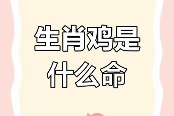 2005年属鸡人的命运解析：从性格到未来发展全揭秘！