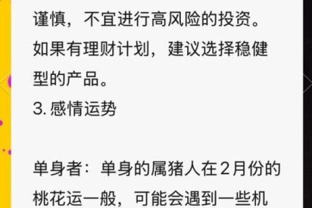 2019年正月猪年命运解析：如何把握人生机遇，成就精彩未来