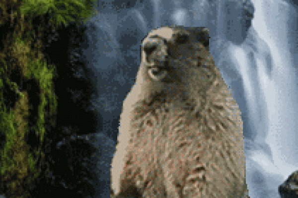 土鼠命6月：生活中缺失的心灵滋养与成长之道