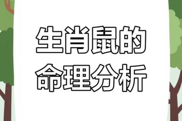 1980年鼠年命理解析：勇敢开拓，成就非凡人生之路