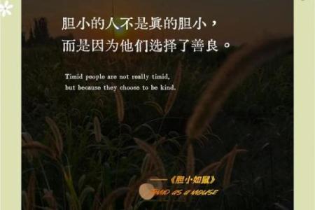 土鼠命6月：生活中缺失的心灵滋养与成长之道