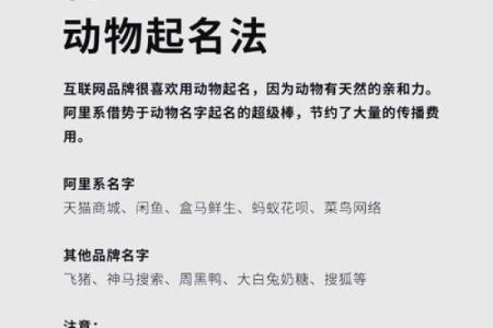 火命人士开店的最佳选择与起名技巧