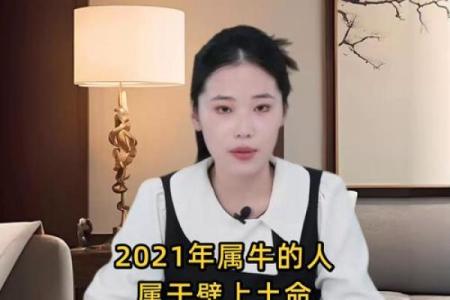 2021年属牛，庚金命的精彩人生解析与启示