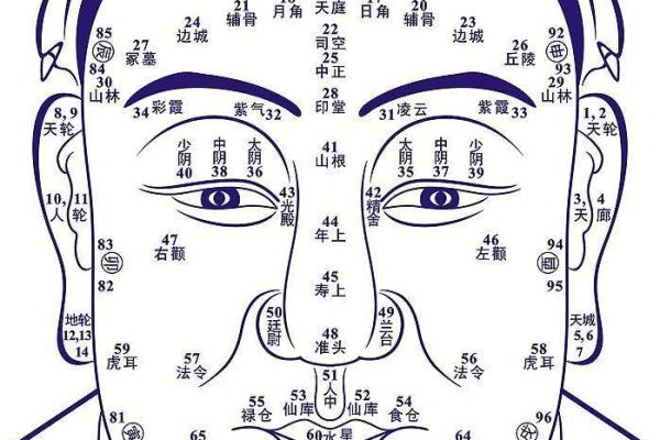 木命人面相解析：寻找如意面相提升运势