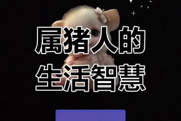 1971年属猪的人：命理分析与人生智慧