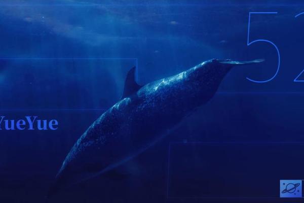 探寻深海的金子：如何在逆境中发现生命的闪光点