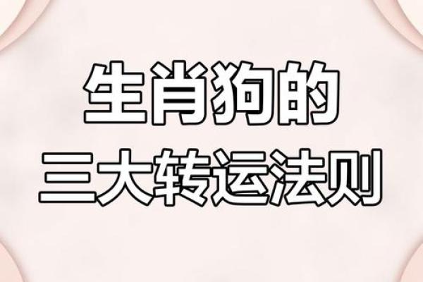 2018年属狗人命理解析：如何把握命运与机遇的钥匙