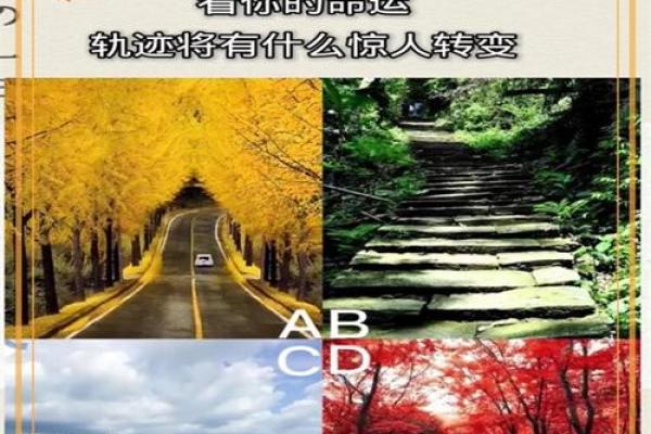 命运与选择：解析1980年6月11日出生的你的命运轨迹