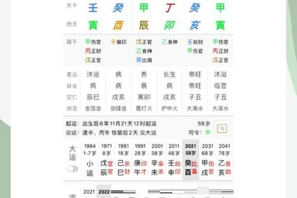 1996水鼠命的缺失与补救：探寻命理的奥秘