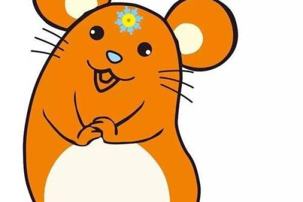 1996水鼠命的缺失与补救：探寻命理的奥秘