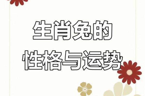 2017年兔年运势解析：命理与生肖的奇妙结合
