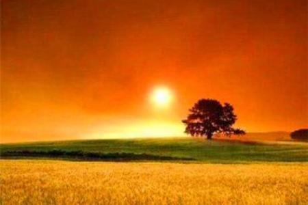 虎年火命旺色解析：火红与橙色的魅力与力量