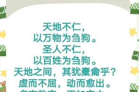 2001年的命卦解读：寻找生命中不可忽视的智慧与启示