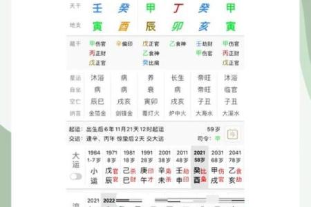 1996水鼠命的缺失与补救：探寻命理的奥秘