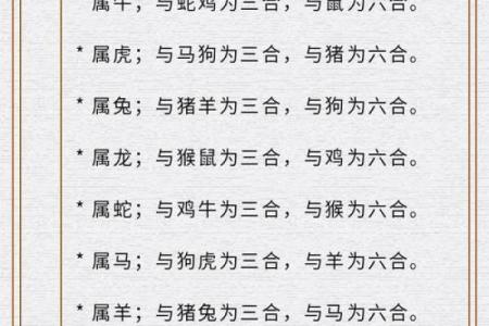 2017年兔年运势解析：命理与生肖的奇妙结合