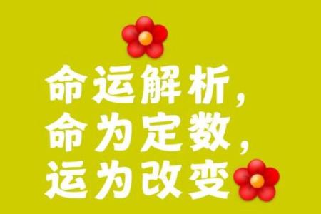 命运的逆转：如何通过努力改变自己的生活轨迹