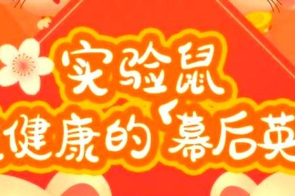 2020年鼠年：命运与性格的深度解析，助你解锁人生奥秘