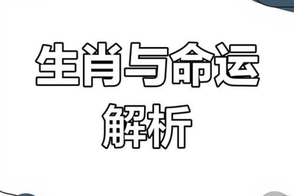 2020年53岁属相与命运解读：探索命理的奥秘与人生的转折点