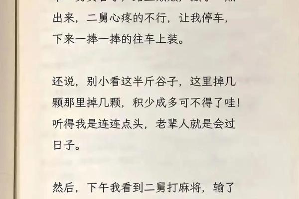 见钱如命：金钱至上的现代生活哲学