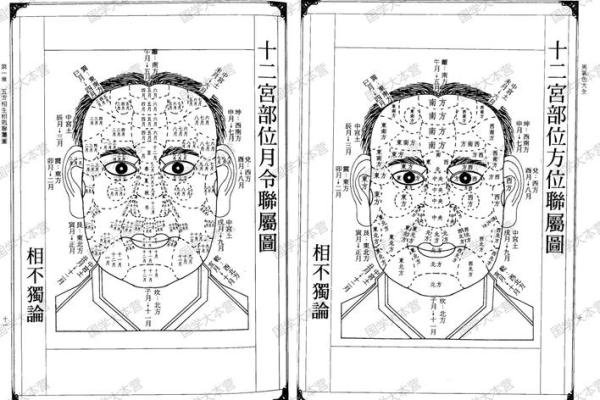 1964年命面相大全的奥秘与启示
