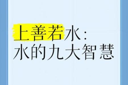 1991年属羊的水命人，人生之路的智慧与挑战