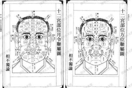 1964年命面相大全的奥秘与启示